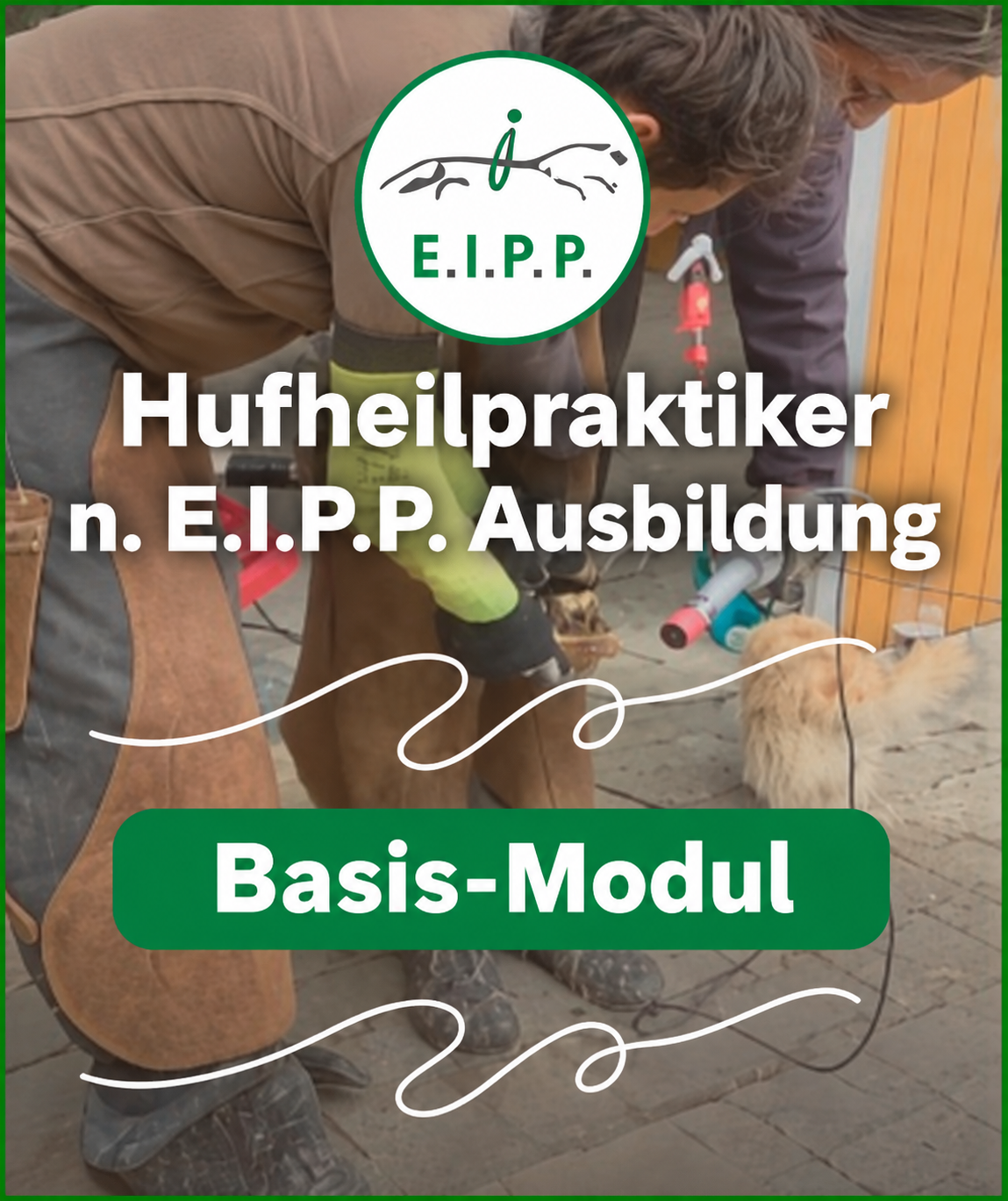 Hufakademie - Ausbildung zum Hufheilpraktiker nach E.I.P.P. Basismodul