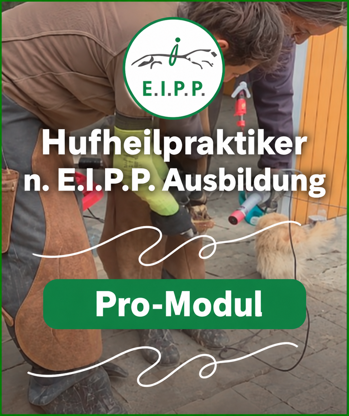 Hufakademie - Hufheilpraktiker nach E.I.P.P. (Pro-Modul)